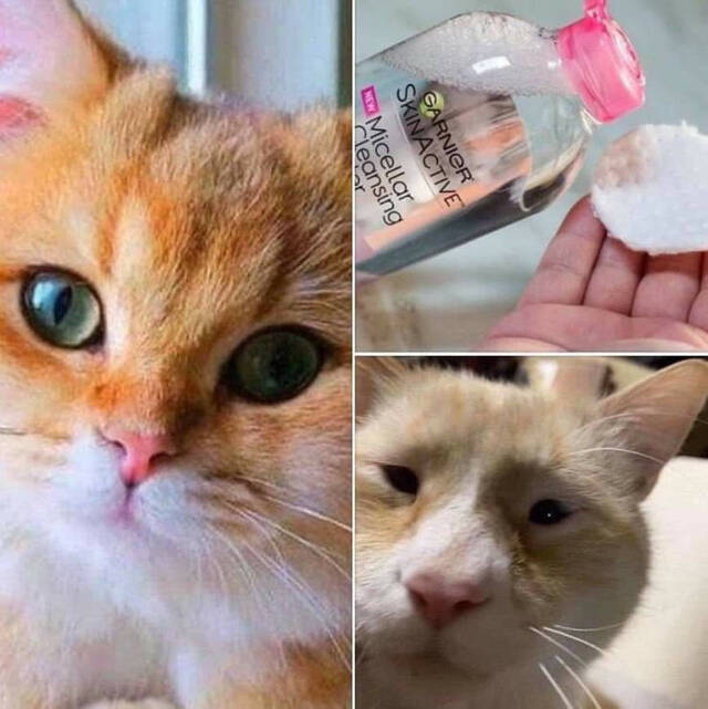 Bildschirmarbeiter - Picdump 06.03.2020