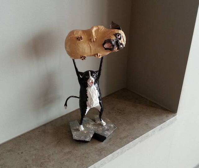 Bildschirmarbeiter - Picdump 13.03.2020