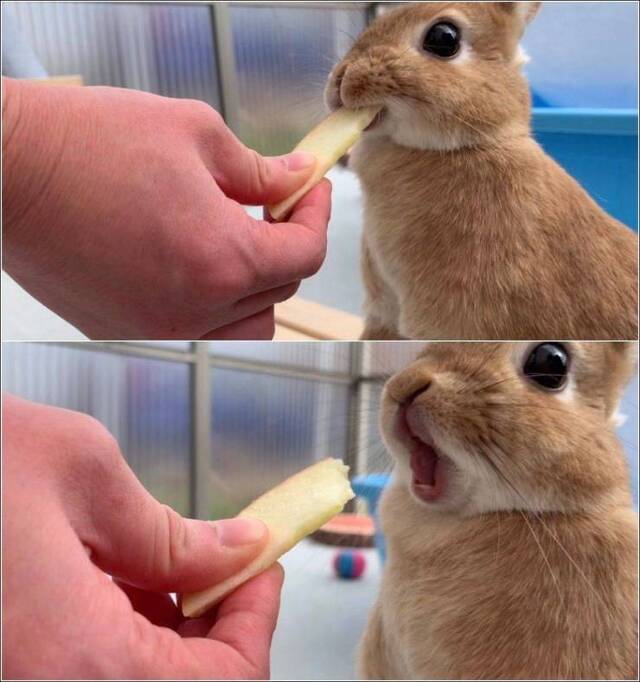 Bildschirmarbeiter - Picdump 13.03.2020