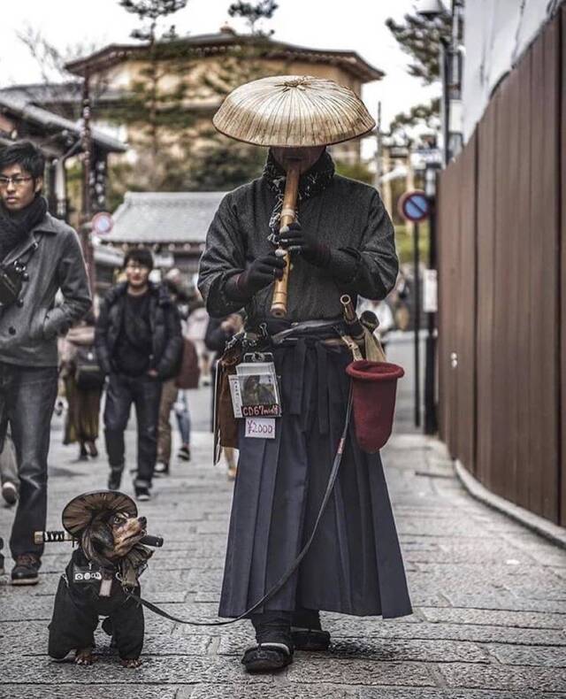 Bildschirmarbeiter - Picdump 13.03.2020