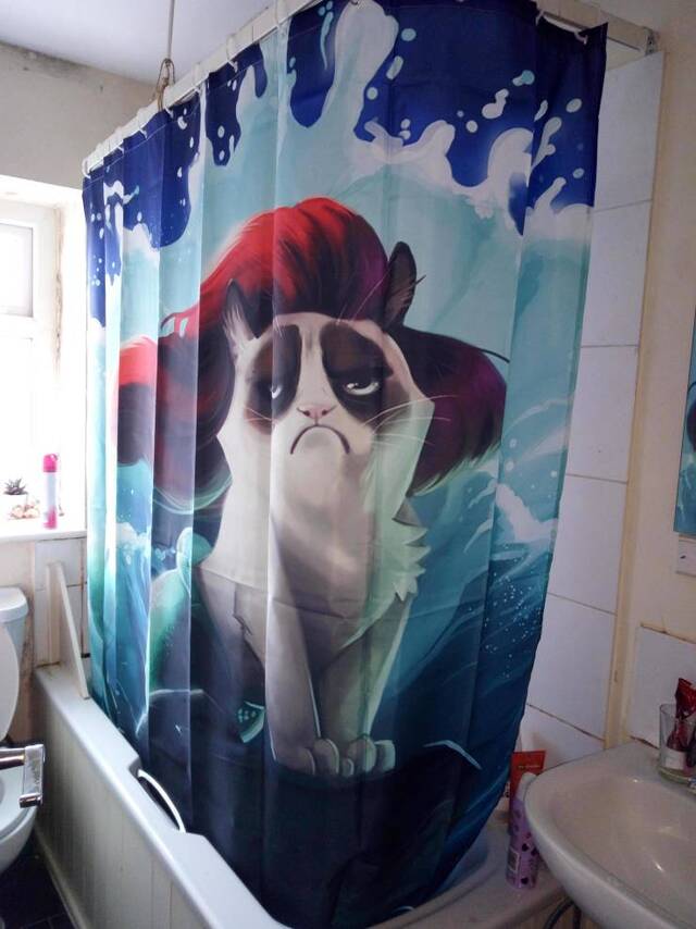 Bildschirmarbeiter - Picdump 13.03.2020