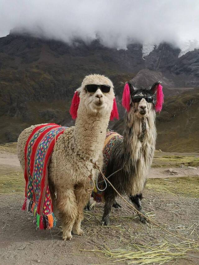 Bildschirmarbeiter - Picdump 13.03.2020