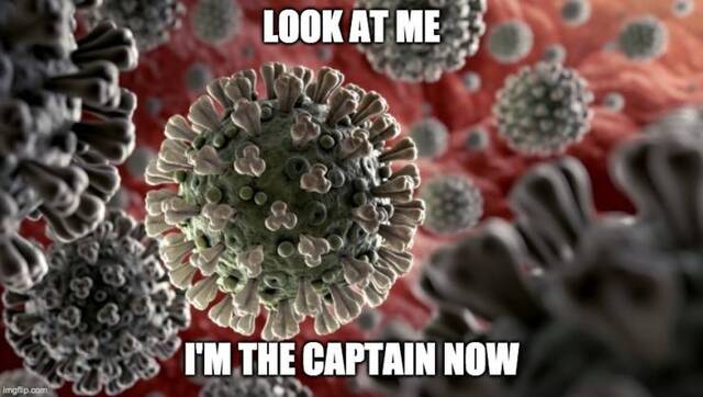 Bildschirmarbeiter - Picdump 13.03.2020