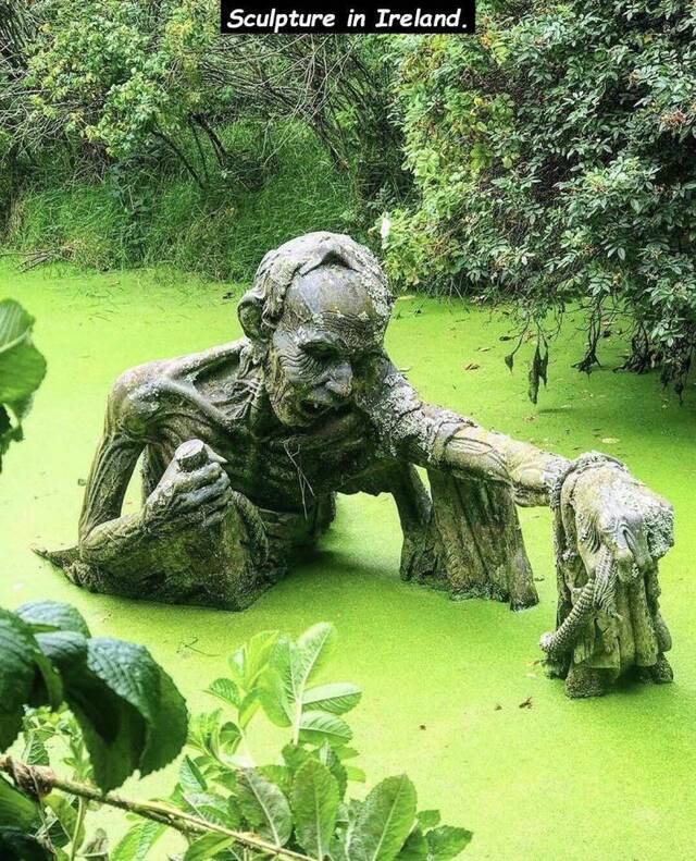 Bildschirmarbeiter - Picdump 20.03.2020