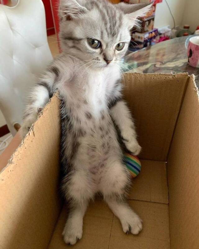 Bildschirmarbeiter - Picdump 20.03.2020