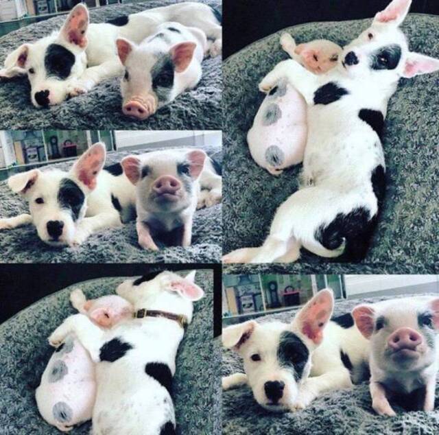 Bildschirmarbeiter - Picdump 20.03.2020