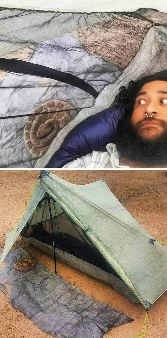 Bildschirmarbeiter - Picdump 20.03.2020