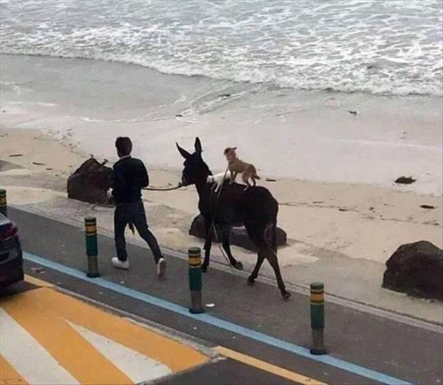 Bildschirmarbeiter - Picdump 20.03.2020