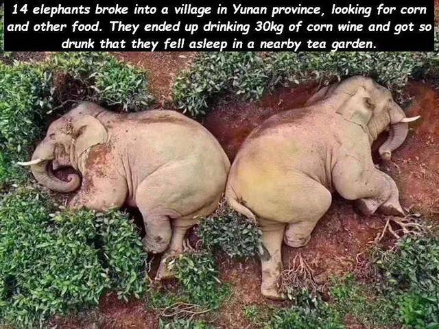 Bildschirmarbeiter - Picdump 20.03.2020