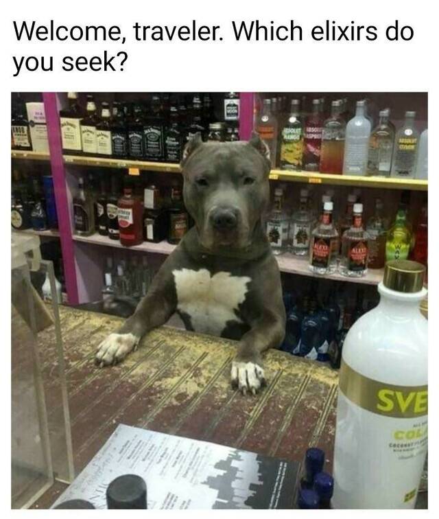 Bildschirmarbeiter - Picdump 20.03.2020