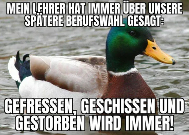 Bildschirmarbeiter - Picdump 27.03.2020