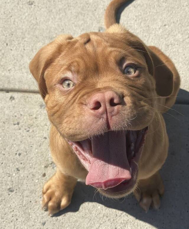 Bildschirmarbeiter - Picdump 27.03.2020