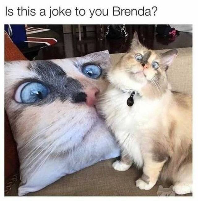 Bildschirmarbeiter - Picdump 27.03.2020