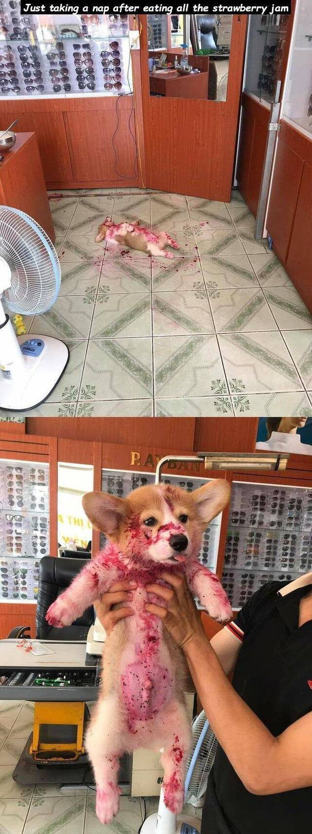 Bildschirmarbeiter - Picdump 27.03.2020