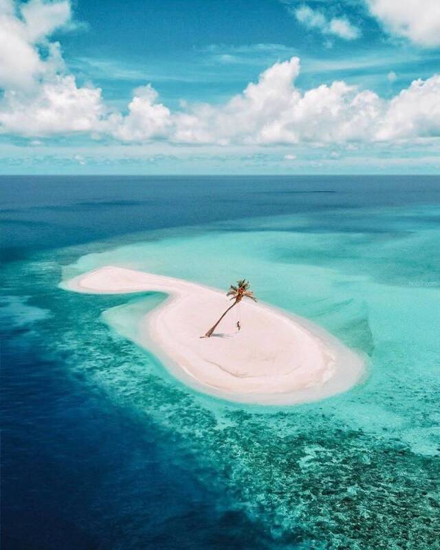 Bildschirmarbeiter - Picdump 27.03.2020