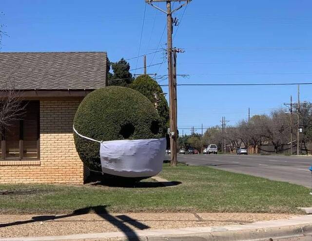 Bildschirmarbeiter - Picdump 27.03.2020