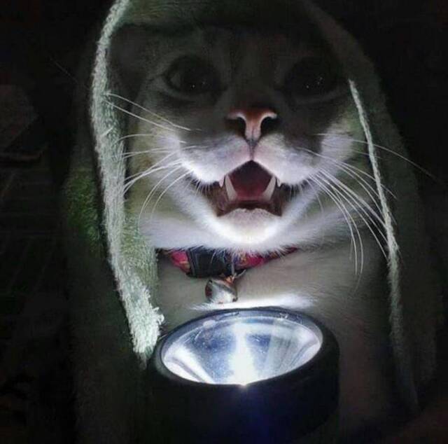 Bildschirmarbeiter - Picdump 27.03.2020