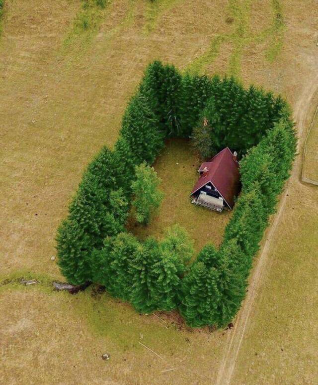 Bildschirmarbeiter - Picdump 27.03.2020