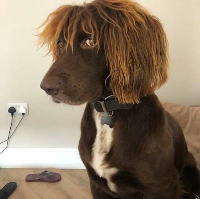 Bildschirmarbeiter - Picdump 27.03.2020