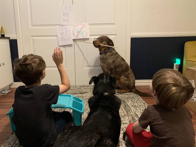 Bildschirmarbeiter - Picdump 27.03.2020