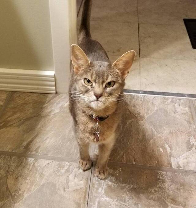 Bildschirmarbeiter - Picdump 27.03.2020