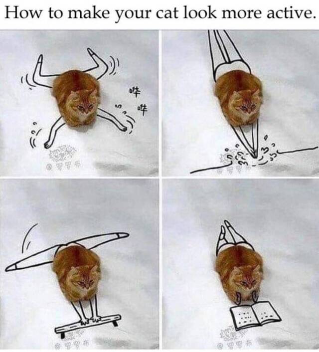 Bildschirmarbeiter - Picdump 03.04.2020