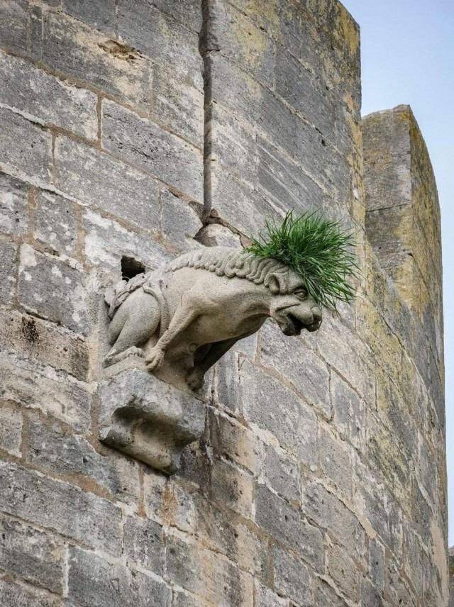 Bildschirmarbeiter - Picdump 03.04.2020