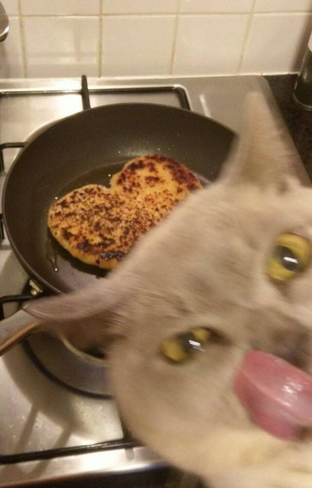 Bildschirmarbeiter - Picdump 03.04.2020