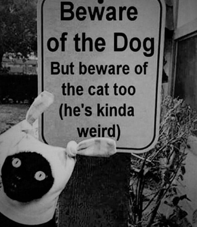 Bildschirmarbeiter - Picdump 03.04.2020