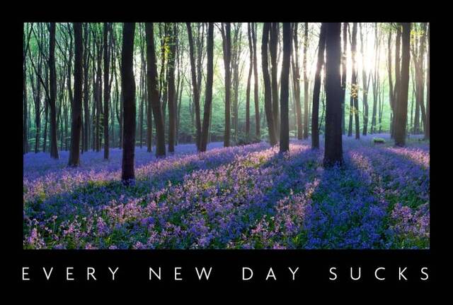 Bildschirmarbeiter - Picdump 03.04.2020