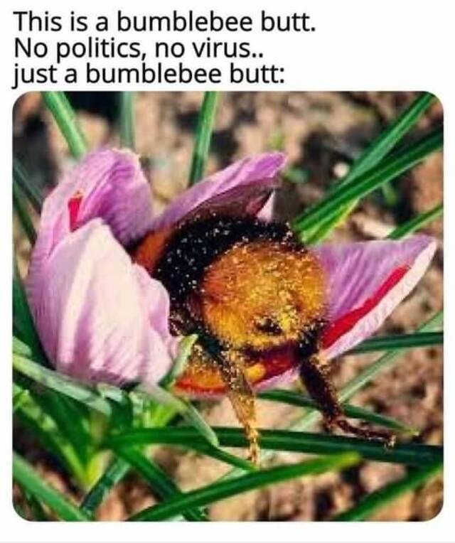 Bildschirmarbeiter - Picdump 03.04.2020