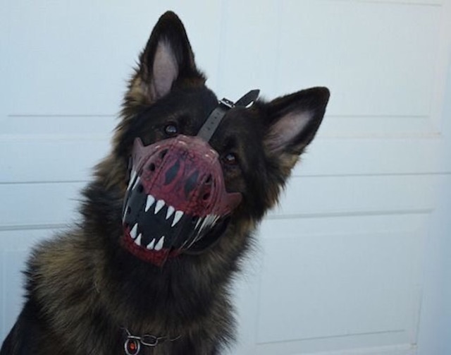 Bildschirmarbeiter - Picdump 03.04.2020