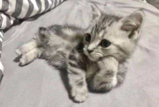 Bildschirmarbeiter - Picdump 17.04.2020