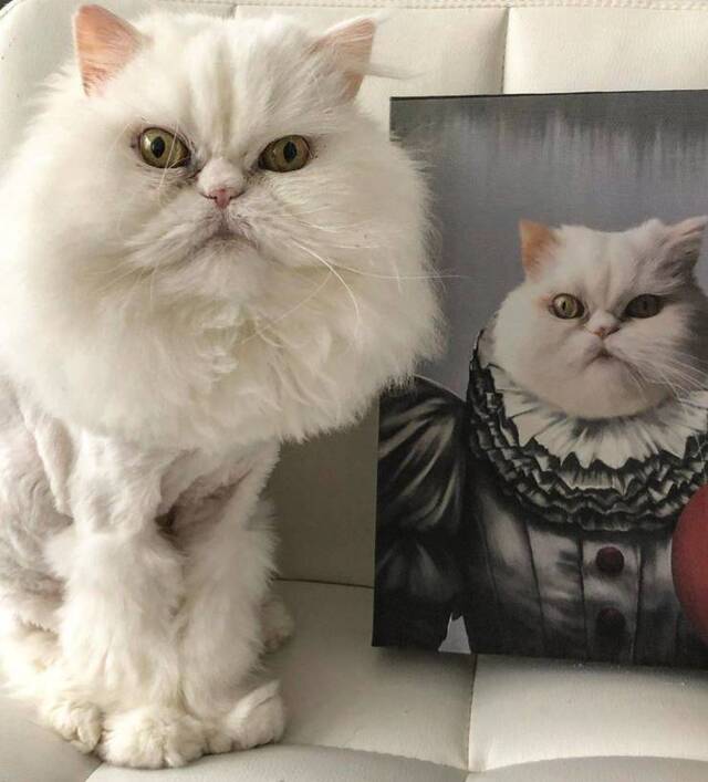 Bildschirmarbeiter - Picdump 17.04.2020