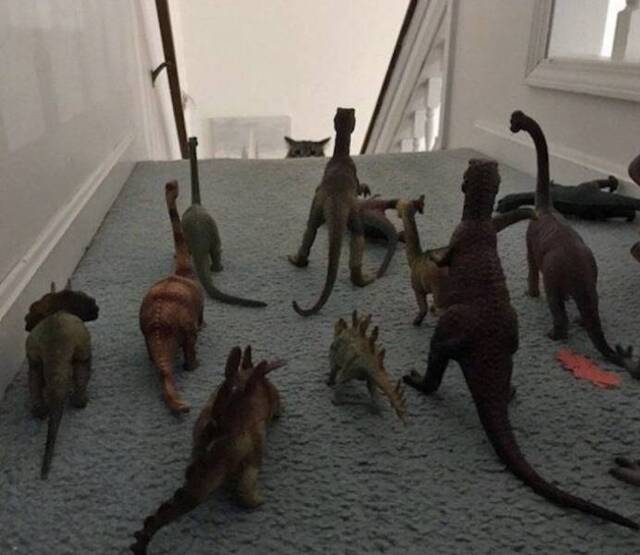 Bildschirmarbeiter - Picdump 17.04.2020