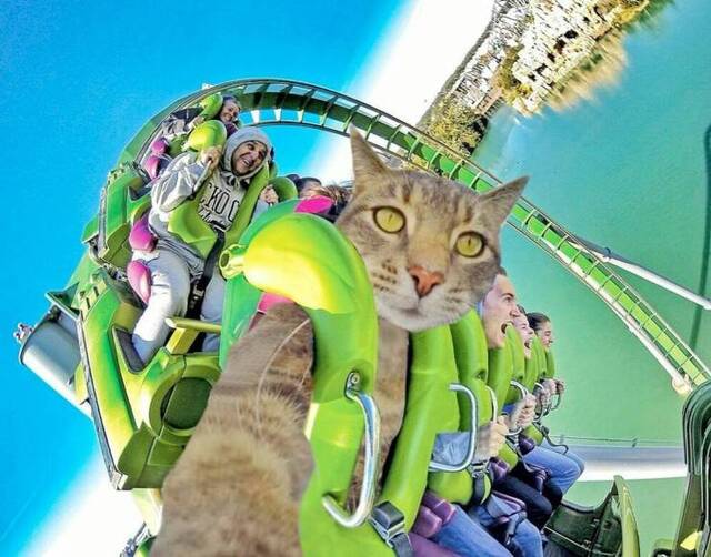 Bildschirmarbeiter - Picdump 17.04.2020