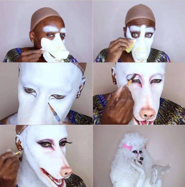 Bildschirmarbeiter - Picdump 17.04.2020