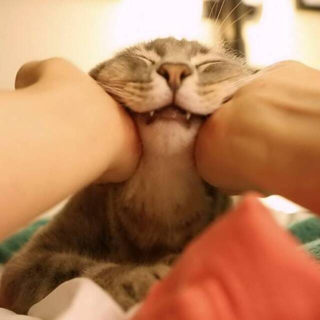 Bildschirmarbeiter - Picdump 17.04.2020