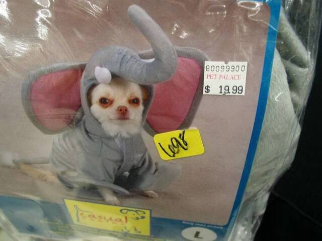 Bildschirmarbeiter - Picdump 17.04.2020