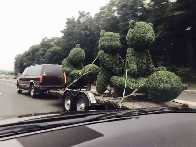 Bildschirmarbeiter - Picdump 17.04.2020