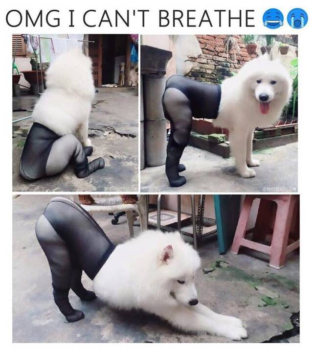 Bildschirmarbeiter - Picdump 17.04.2020