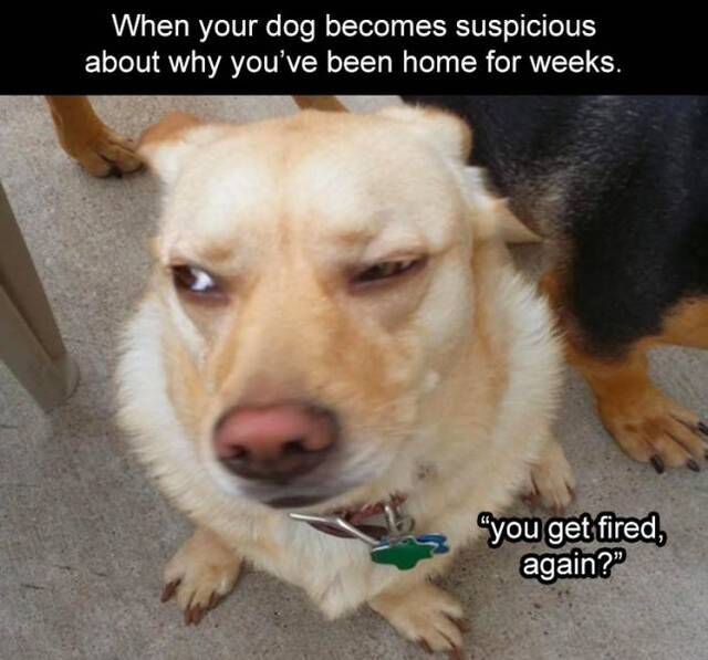 Bildschirmarbeiter - Picdump 17.04.2020