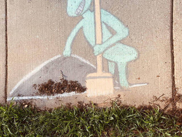 Bildschirmarbeiter - Picdump 17.04.2020