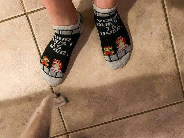 Bildschirmarbeiter - Picdump 17.04.2020