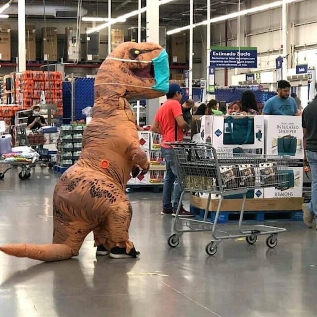 Bildschirmarbeiter - Picdump 17.04.2020