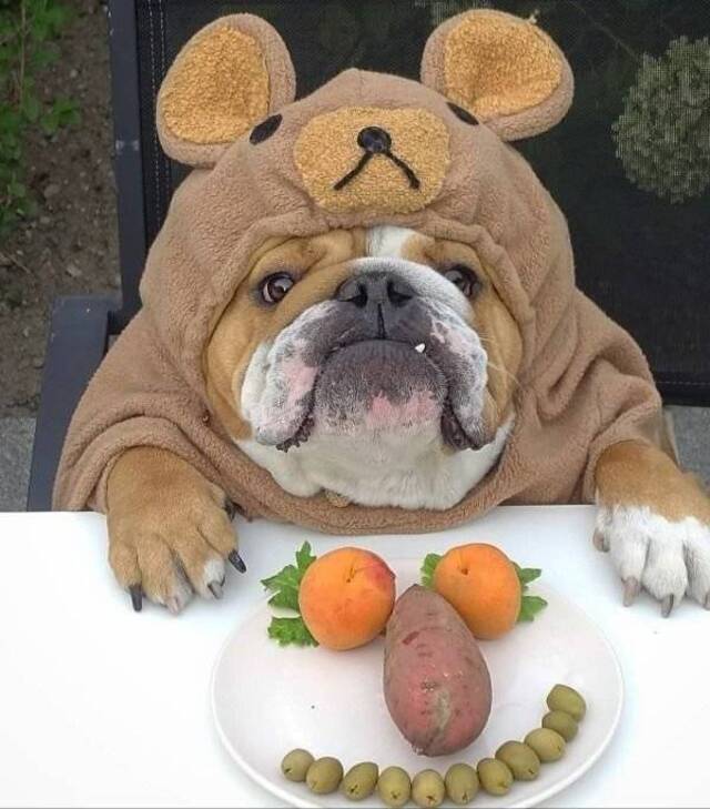 Bildschirmarbeiter - Picdump 24.04.2020