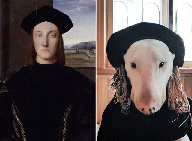 Bildschirmarbeiter - Picdump 24.04.2020