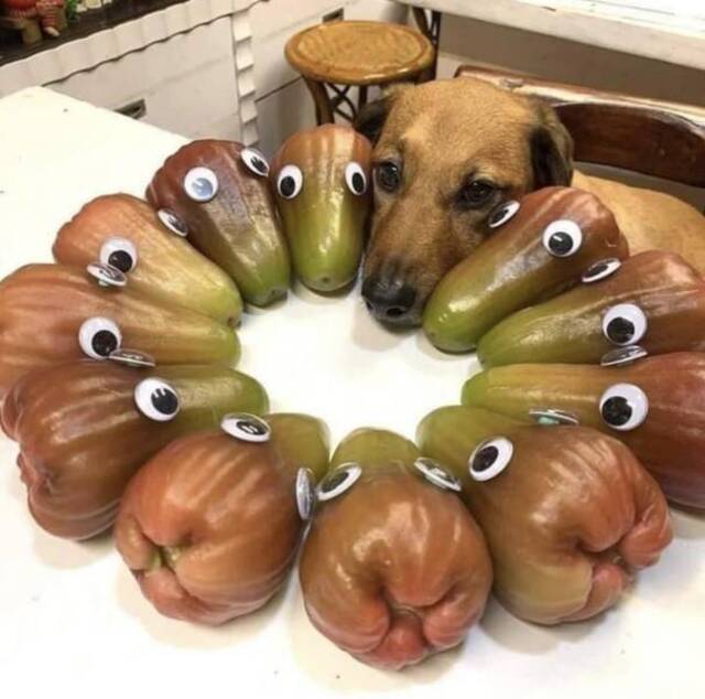 Bildschirmarbeiter - Picdump 24.04.2020