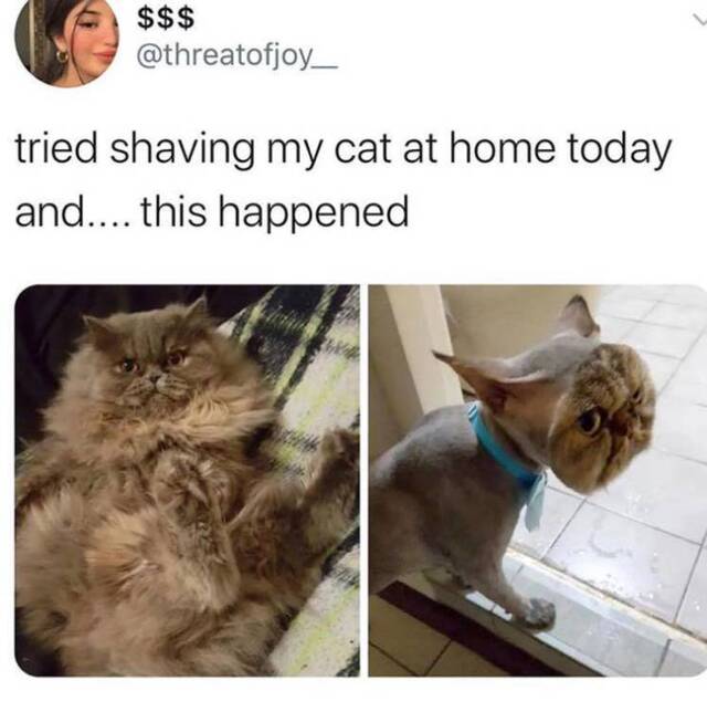 Bildschirmarbeiter - Picdump 24.04.2020