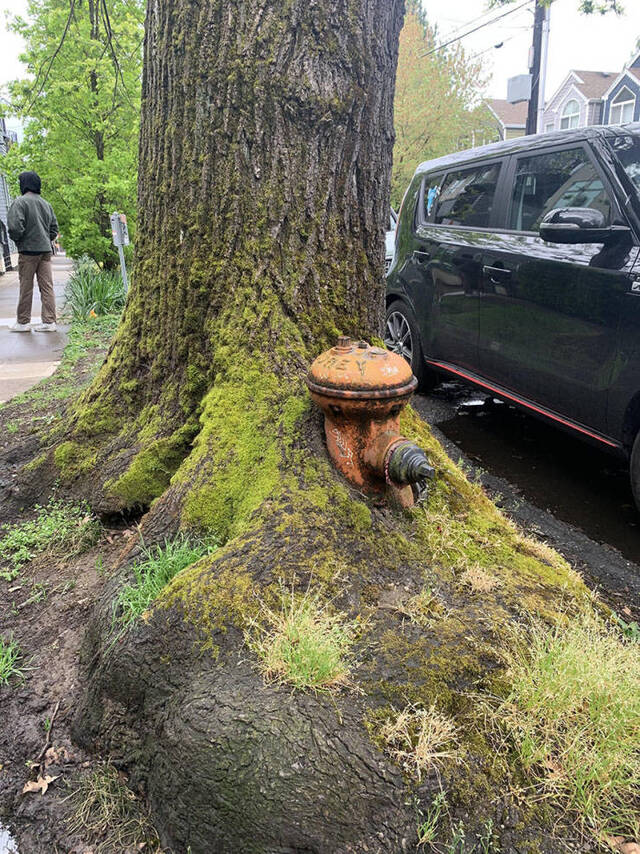 Bildschirmarbeiter - Picdump 24.04.2020